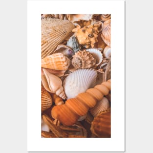 Summer Seashells Beach Travel Caribbean Yoga Relax Posters and Art